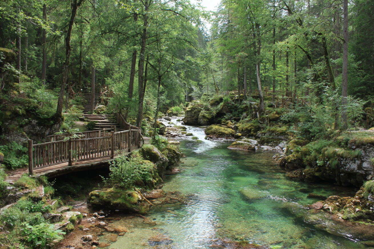 Parcs Nationaux d’Europe Exclusifs à Explorer – Découvrez les Joyaux Verts!